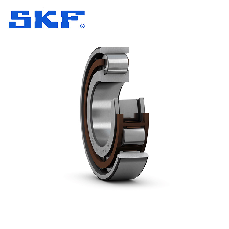 SKF N圆柱滚子轴承ECP